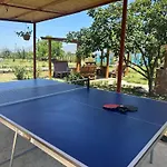 Ballkan